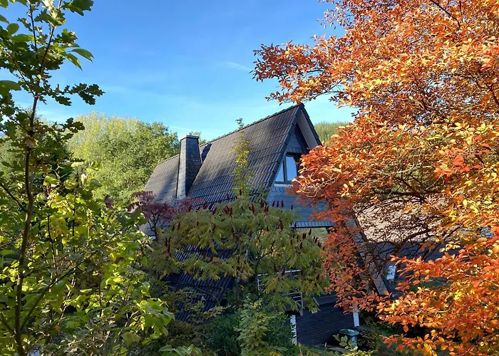 Nurdachhaus Sauerland